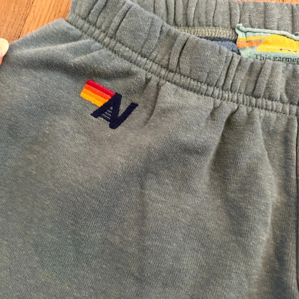 Aviator Nation Blue Sweatpants with Colorful Stripes - Picture 3 of 8